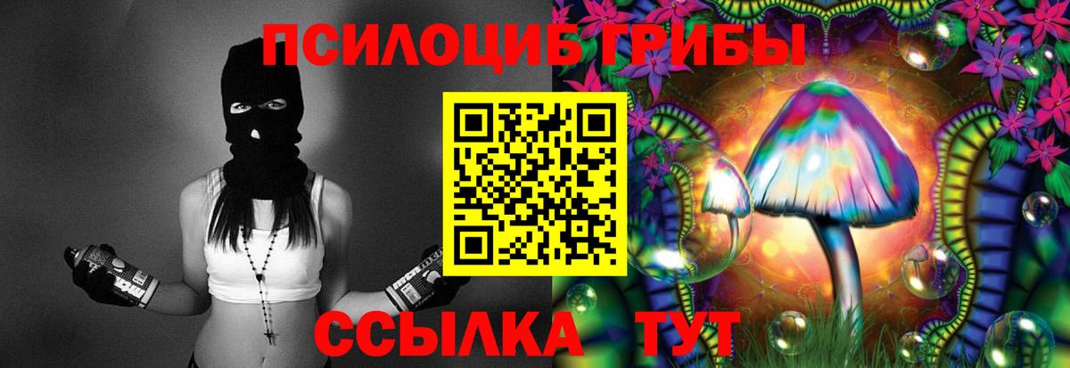 Сергиев Посад  Галлюциногенные грибы Magic Shrooms  Вход с VPN 